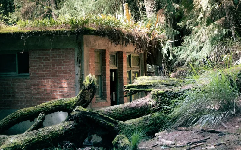 Lost in Time: The Eerie Trail Relics Nobody Is Supposed to Find